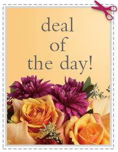 Designer's Choice Bouquet in Virginia Beach VA, Posh Petals and Gifts